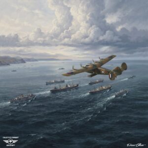 Airspeed Fleet Shadower
