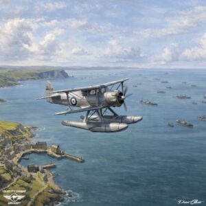 Airspeed Queen Wasp