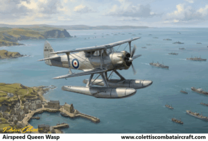 Airspeed Queen Wasp