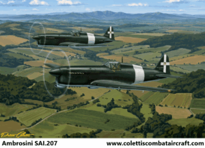 Ambrosini SAI.207