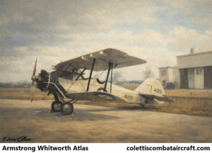 Armstrong Whitworth Atlas