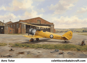 Avro Tutor