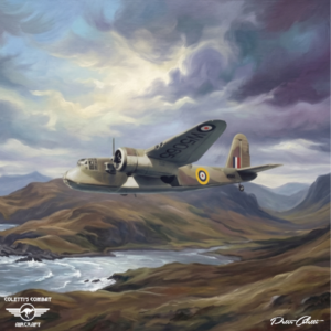 Blackburn Botha