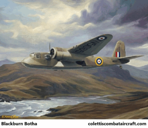 Blackburn Botha