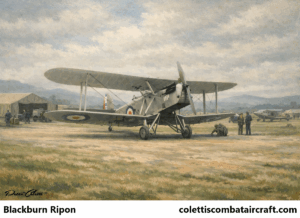 Blackburn Ripon