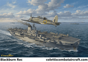 Blackburn Roc