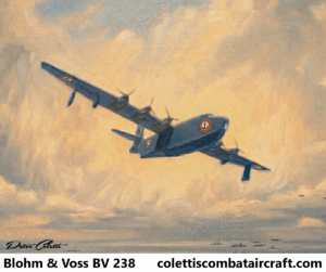 Blohm & Voss BV 238