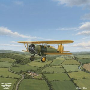 Boeing P-12