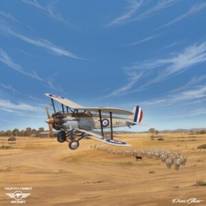 Bristol Bulldog