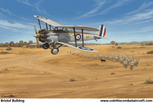 Bristol Bulldog