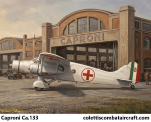 Caproni Ca.133