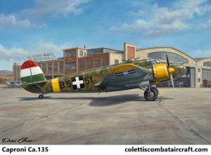 Caproni Ca.135