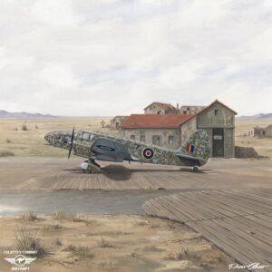 Caproni Ca.309