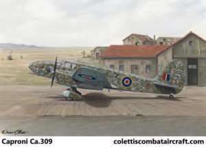 Caproni Ca.309