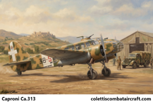 Caproni Ca.313