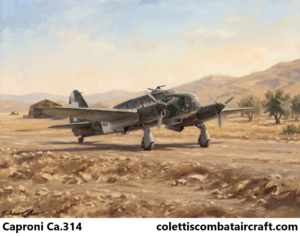 Caproni Ca.314