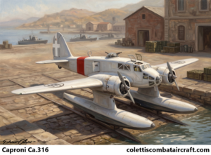 Caproni Ca.316