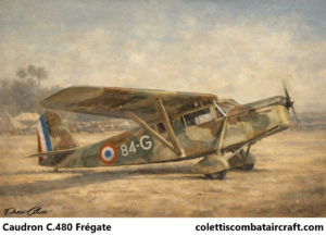 Caudron C.480 Frégate