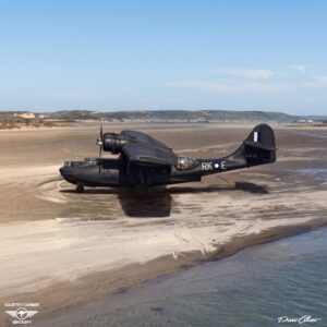 Consolidated Catalina