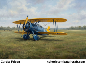 Curtiss Falcon / Helldiver