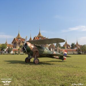 Curtiss Goshawk