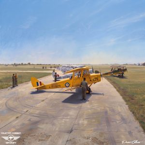 De Havilland Tiger Moth & Queen Bee