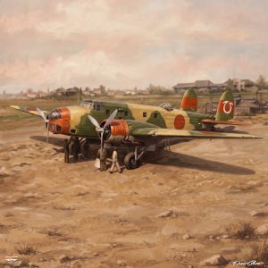Fiat BR.20 Cicogna (Stork)
