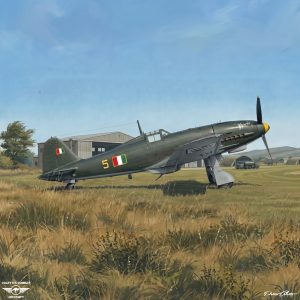 Fiat G.55 Centauro